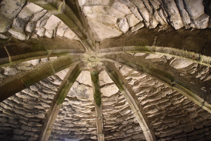 Fort-la-Latte(36)