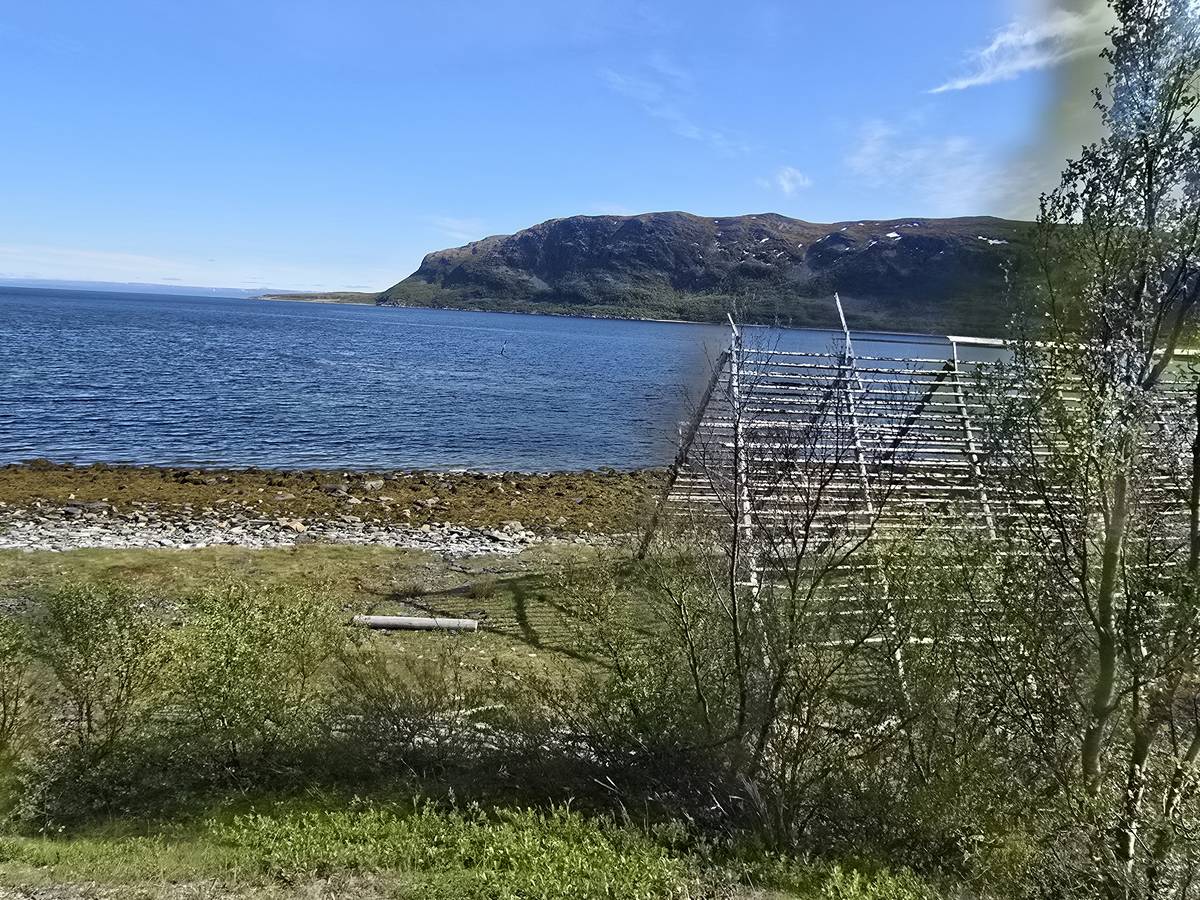 (cliquez pour agrandir) Sur la route du Nordkapp