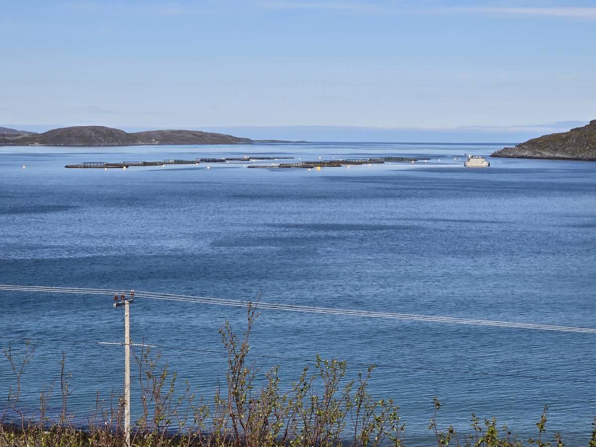 (cliquez pour agrandir) Sur la route du Nordkapp